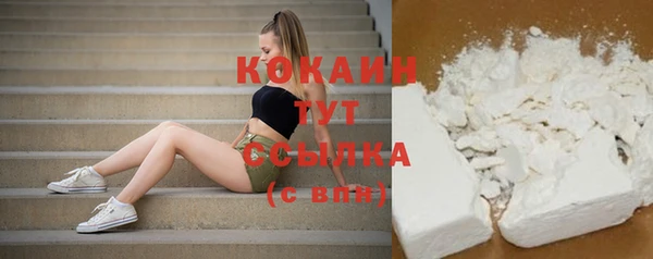 тгк Каменка