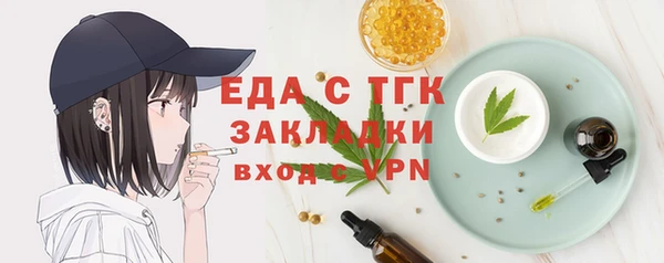 тгк Каменка