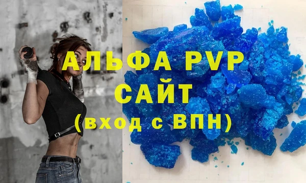 стаф Каменногорск