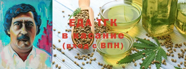 тгк Каменка