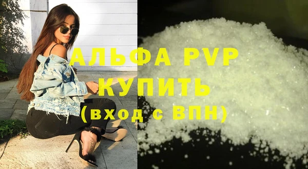 тгк Каменка