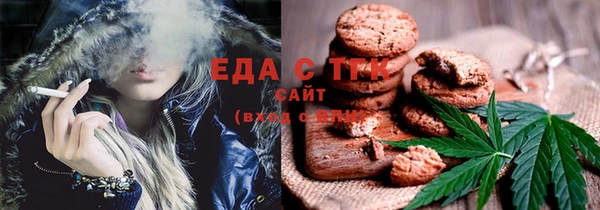 тгк Каменка