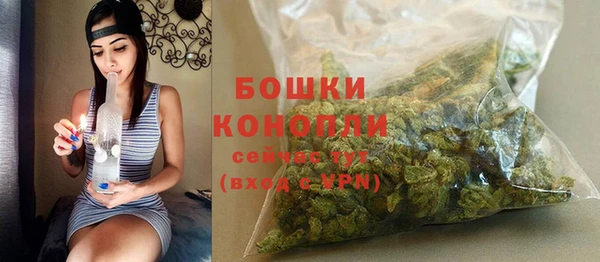 стаф Каменногорск