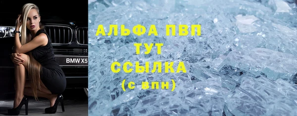тгк Каменка