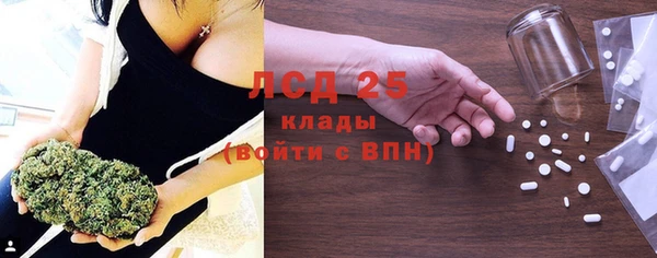 тгк Каменка
