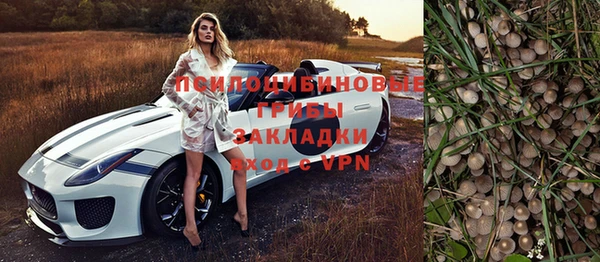 тгк Каменка