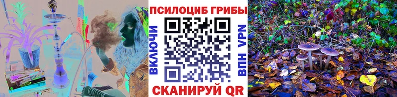 Галлюциногенные грибы мухоморы  Клин 