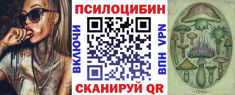 Галлюциногенные грибы Psilocybe Клин